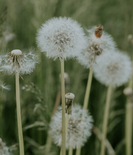 Model Sostenible - Nosaltres